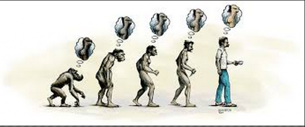 Η εξέλιξη του ανθρώπου5