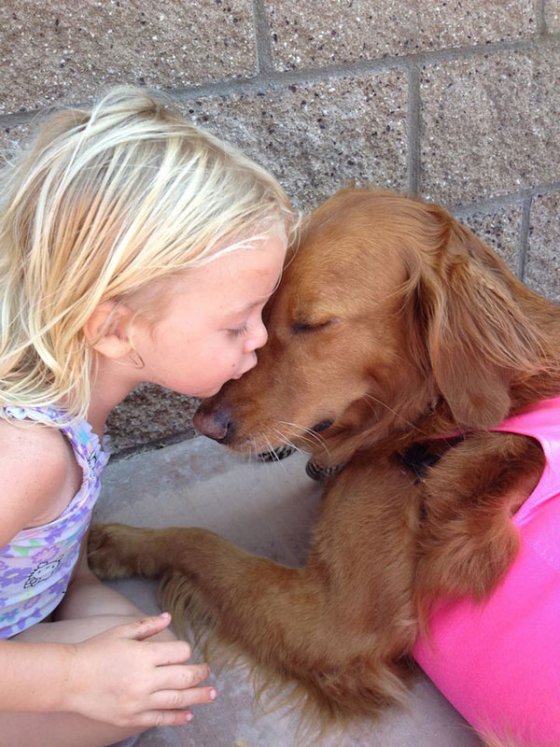 σκυλοσ σερφερ4