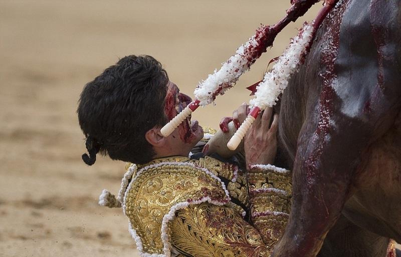 Ο ταύρος τον εκδικήθηκε4