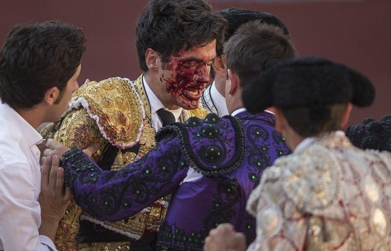 Ο ταύρος τον εκδικήθηκε5