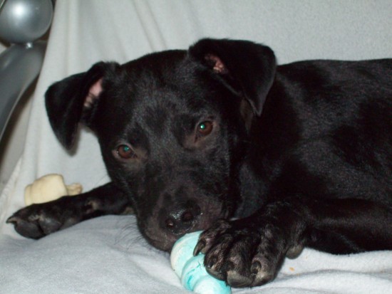 1437984304-8df7b73a7820f4aef47864f2a6c5fccf