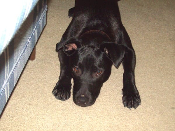 1437984565-9414a8f5b810972c3c9a0e2860c07532