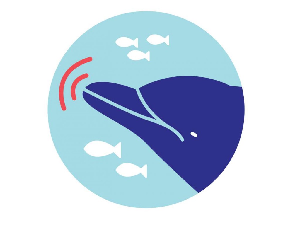 7 τρελά κόλπα 2