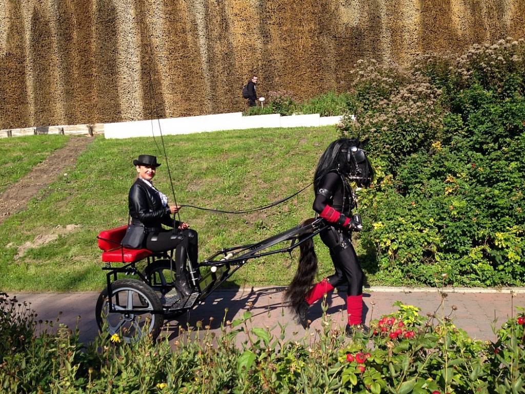 cf5f7b75da0e3cc6013ece0f4020b0f9