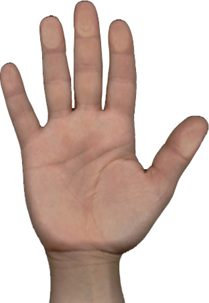 751ecc6d2bdf633d13d807a22f86231c