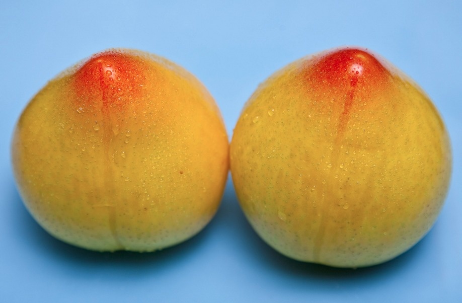 lifebuzz-6d12689f48ef1a36b1073dcf0601c52e-limit_2000