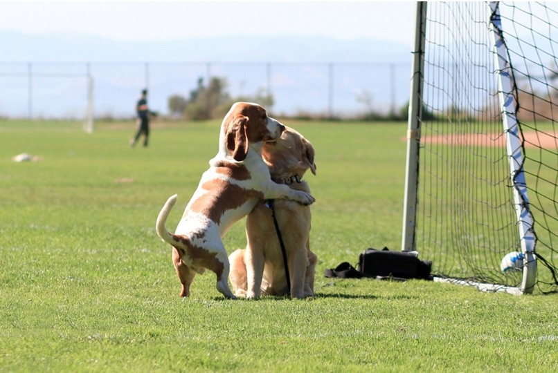 lifebuzz-85d6a420bee817edb0e202c84e3d8463-limit_2000