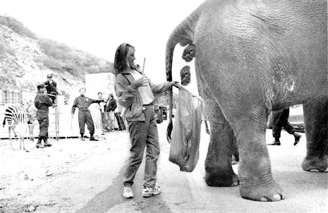 molis-dite-aftes-tis-13-fotografies-de-tha-gkriniaxete-pote-xana-gia-ti-doulia-sas-9