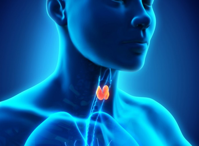 25105917780_8bc8d4f4e3_o