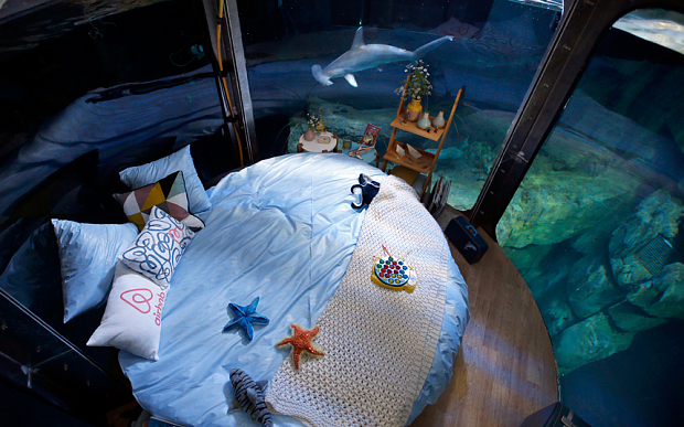 Aquarium-m_3602678b-1