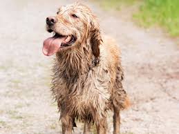 αρχείο λήψης (2)