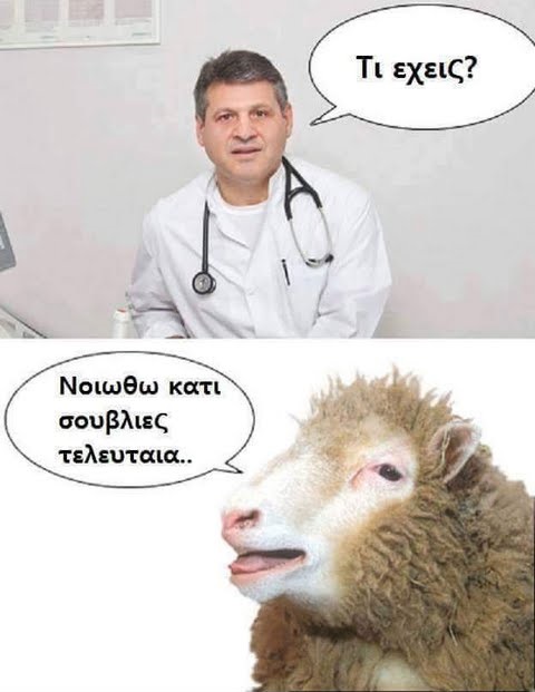 20b929cadb63eaea2b5257f5b631846c