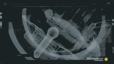 26438621601_457a201dd9_o