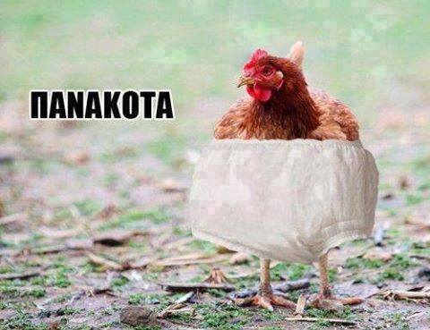 9cb990aaef4349067ea5eadd3f64506d-1