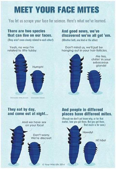 26408277223_3eaa131e11_o