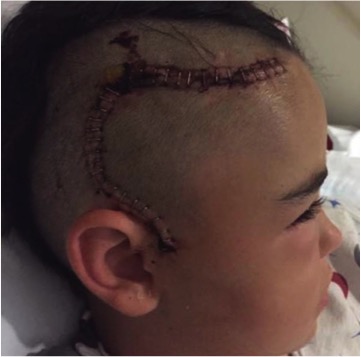 26784149021_b37875837d_o