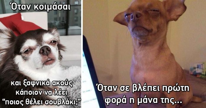 2df6449f66e1d58f9214d088ee4f1438