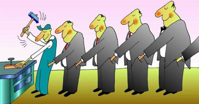 ArticleImage_206964-jpg