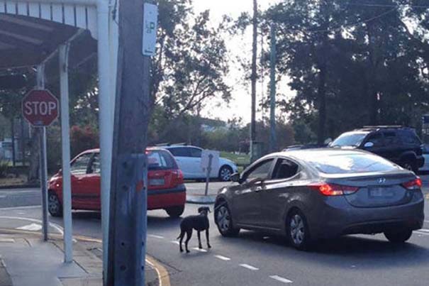 d41c66321828b8de33de5d0cb1088e28