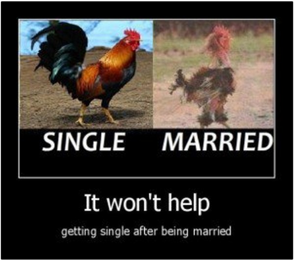 terasties-diafores-zeugari-prin-meta-gamo-7