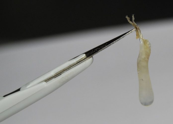 VUu5gTAqpwqQOLx3cHlpOheRat9hsnOniisyb3ZB