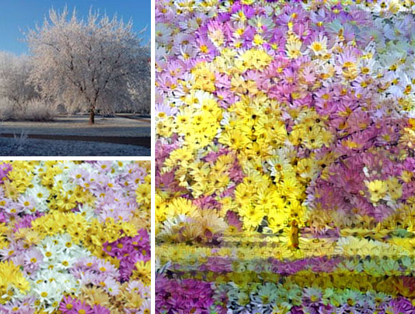 fec0a0421a830454ddffbafe46084b27