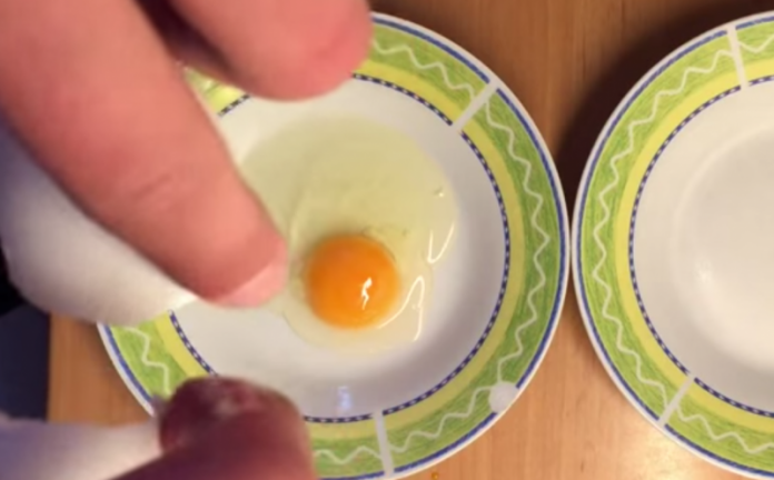 kovei-lemoni-trivei-fridia-tis-molis-mathete-logo-kanete-eseis-4