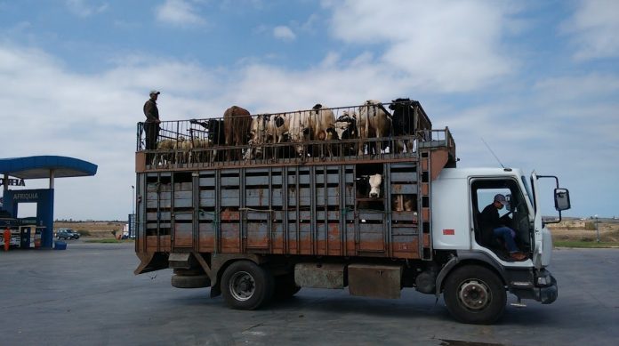 parakolouthwntas-gia-mhnes-th-zwh-tou-typou-pou-mou-eklepse-to-kinhto-10