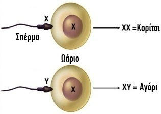 2f5b1ef7f63ad62ddb1d157fdb4f406c