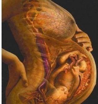 9b4d953789685dea94edcc2d9701c802