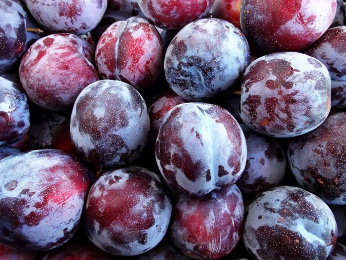 dsc01808-2-tn-1280x960